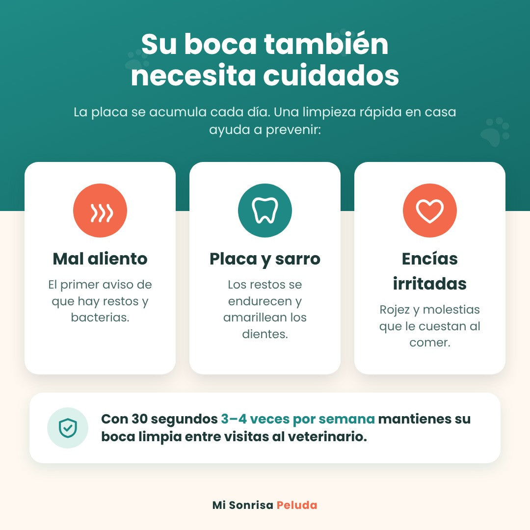 Toallitas Dentales de Dedo para Perros y Gatos